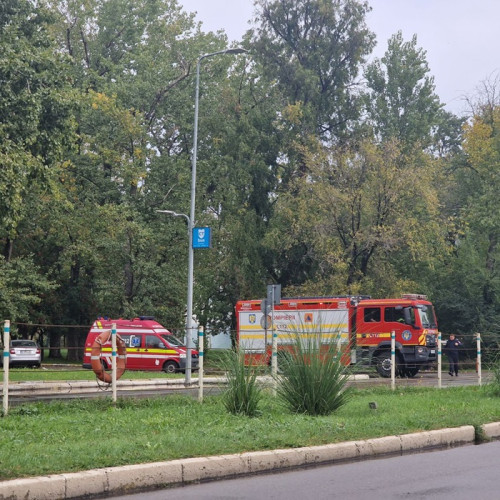 Incendiu pe strada Liliacului, fără victime