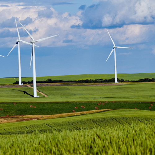 Proiect de energie solară în Tandarei, susținut de compania portugheză Greenvolt
