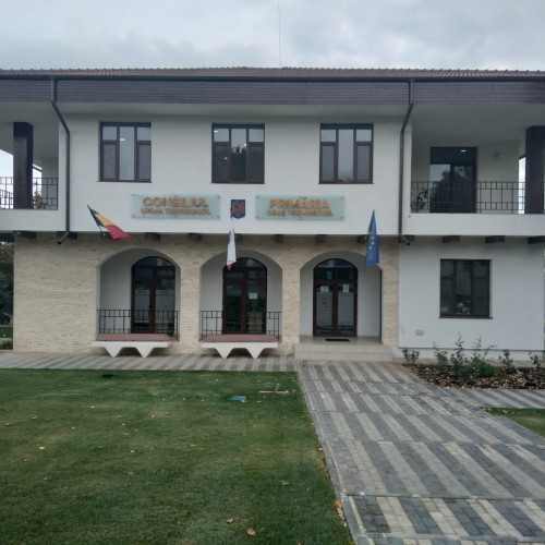 Primăria Techirghiol alocă fonduri pentru spectacole de 1 iunie