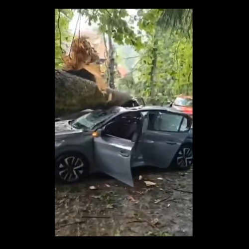 VIDEO PRĂPĂD a făcut furtuna în Sinaia: 16 persoane, la spital, mașini distruse de copacii prăbușiți, iar acoperișul unei anexe a gării a fost SMULS de vânt