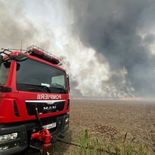Incendiu lângă Techirghiol: Traficul rutier este OPRIT pe ambele sensuri al DN 38 Agigea-Negru Vodă