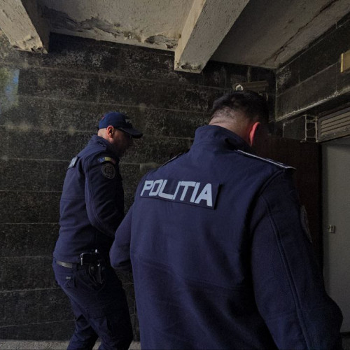 Caz ȘOCANT la Ostrov: Femeie de 82 de ani, lovită cu sapa în cap, în plină stradă! Agresorul TOCMAI a fost ARESTAT
