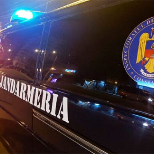 Jandarmii din Mangalia, descoperire importantă la Neptun! A fost sesizată Poliția