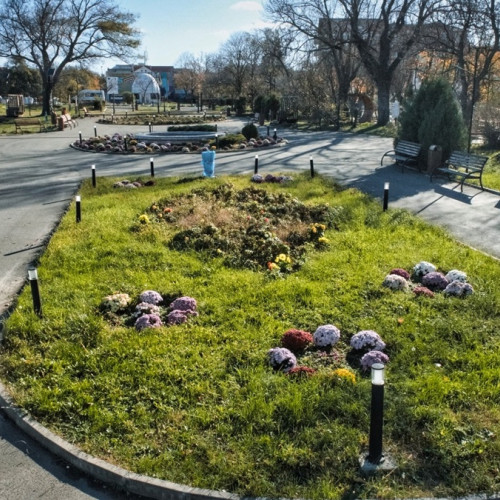 Primăria Eforie și Ama Flowers Club: contracte de flori și perspective de cheltuieli