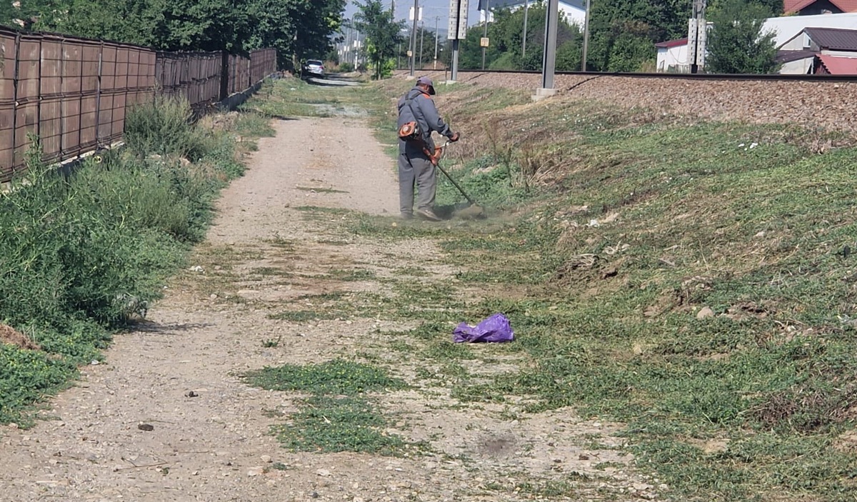 Valu lui Traian continuă curățenia de toamnă în toate cartierele