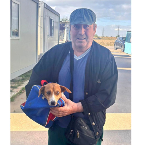 Ruby, cățel adoptat din Constanța, primește o șansă la o viață nouă