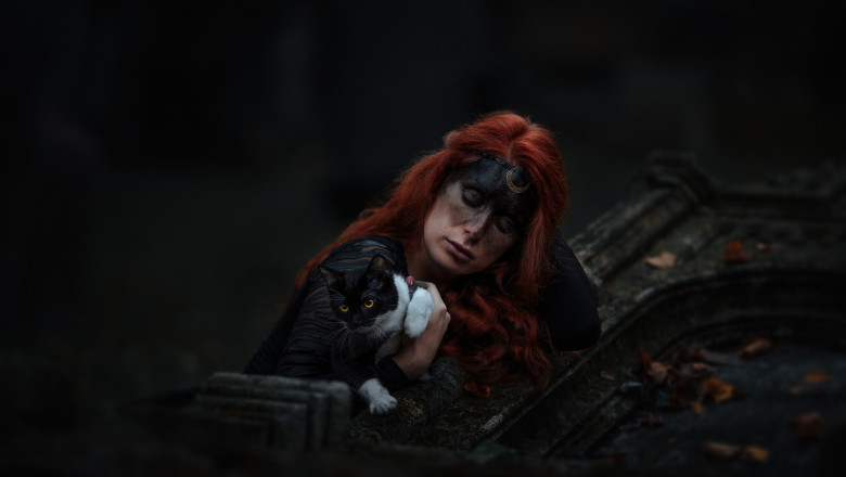 Oraș din Catalonia interzice temporar adopția pisicilor negre înainte de Halloween