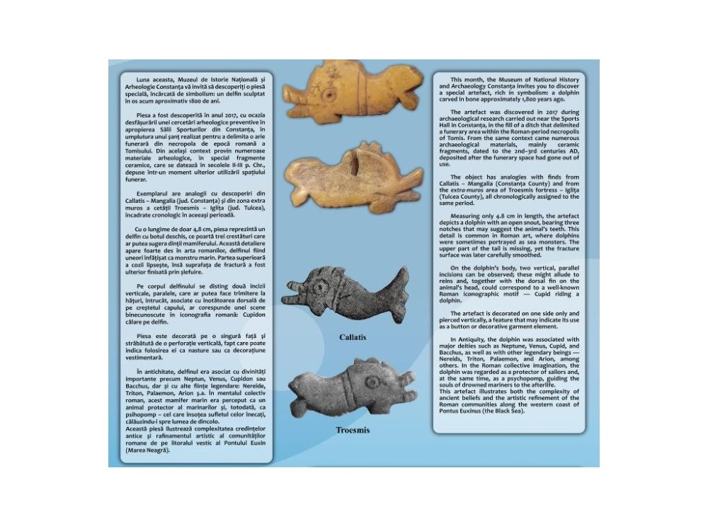 Descoperire arheologică la Constanța: nasture în formă de delfin din epoca romană
