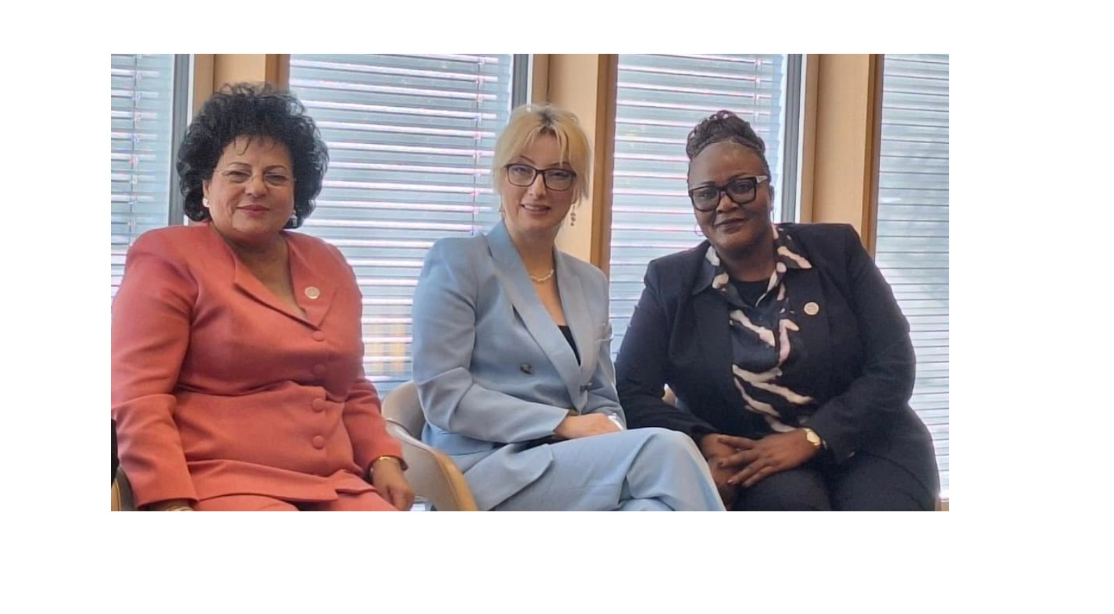 Mariana Gâju, singura româncă în panelul internațional pentru leadership feminin
