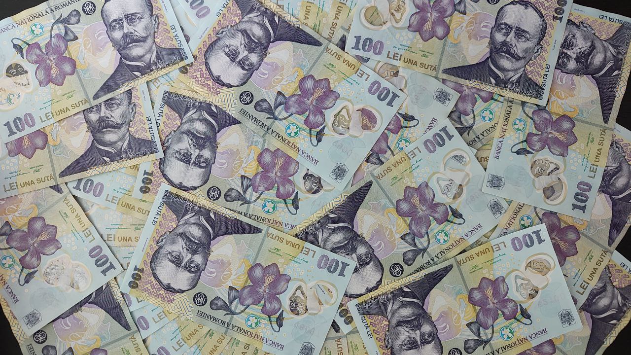 Grupul DD S.A. va distribui 46 milioane lei din profitul nerepartizat în 2024