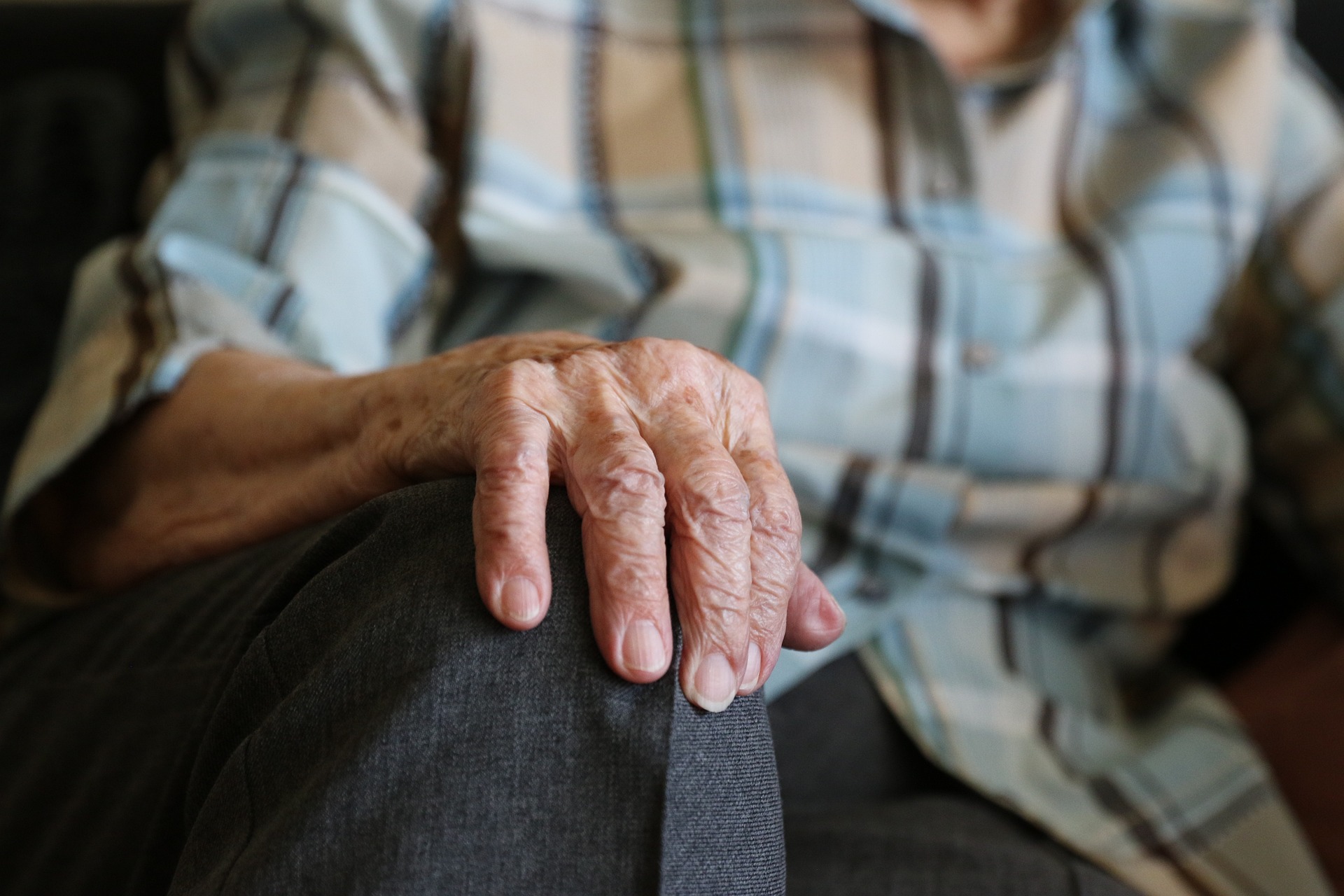 2,75 milioane pensionari vor primi sprijin financiar de 400 lei în decembrie 2025