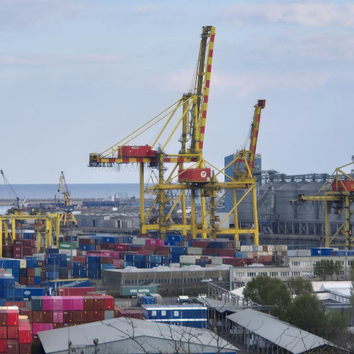 DSVSA Constanța aplică măsuri urgente după confirmarea influenței aviare